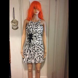 NWOT Milly Cotton White & Back  Floral Dress